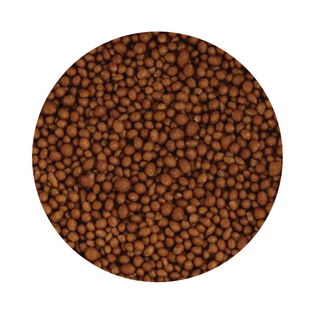 Crunchy Pearl Salty Caramel