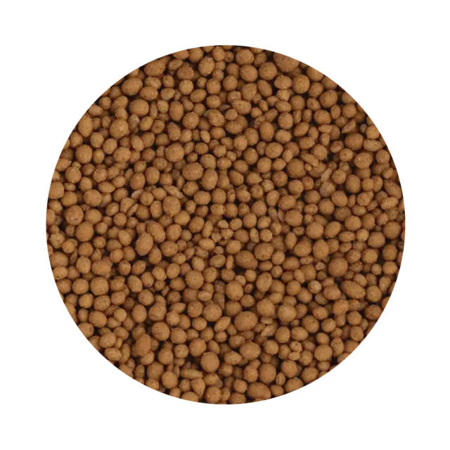 Crunchy Pearl Cinnamon