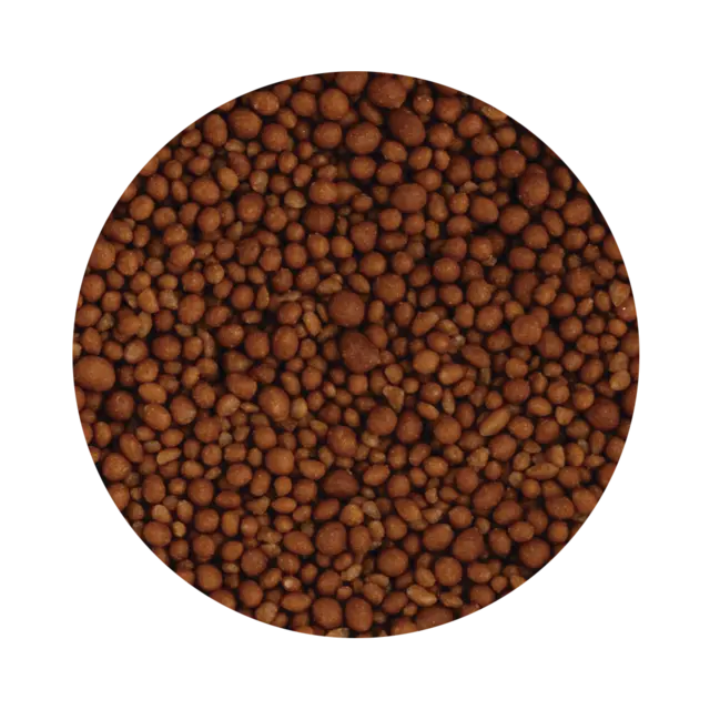 Crunchy Pearl Coffee