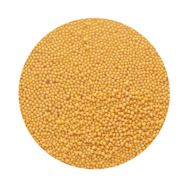 Gold Nonpareils