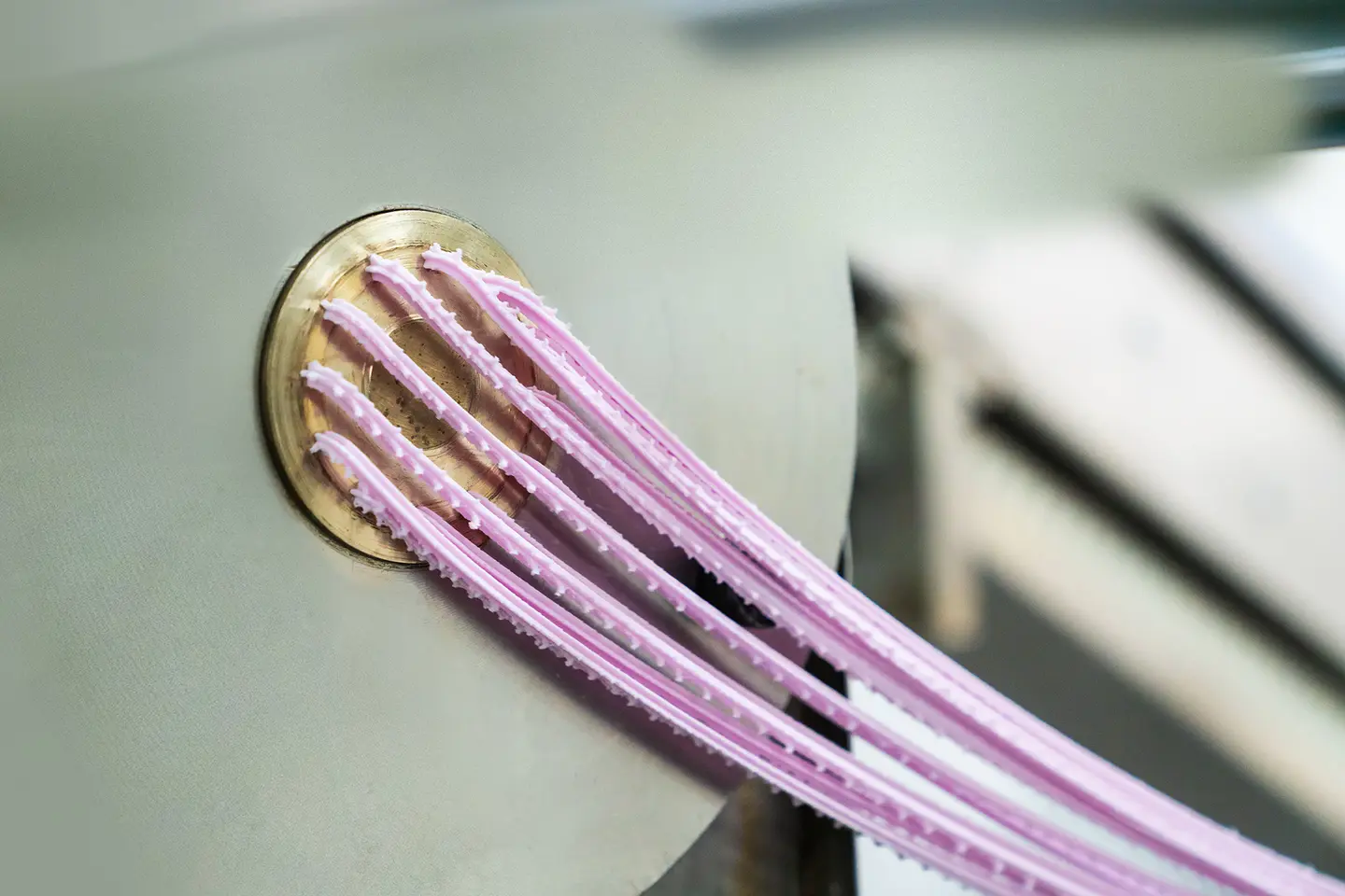 ConfetiCakes high-pressure extrusion process