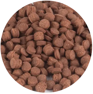 Magic Bites Brown Cocoa