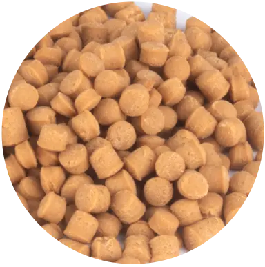 Magic Bites Caramel