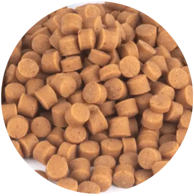 Magic Bites Cinnamon